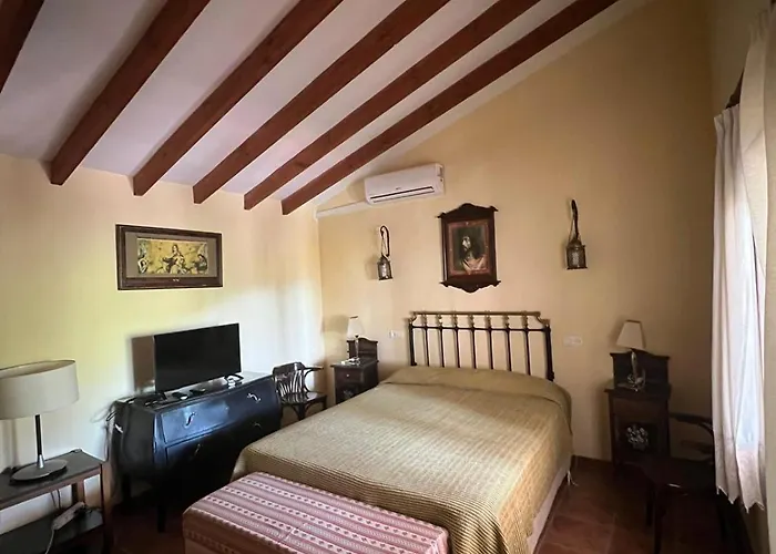Olivos