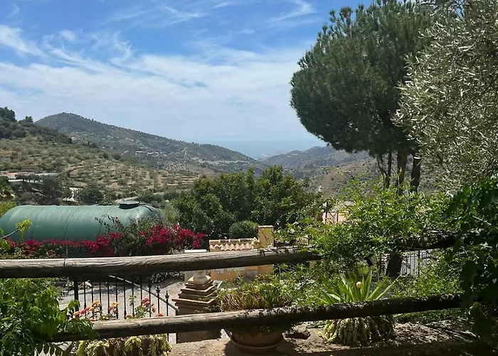 Villa Olivos