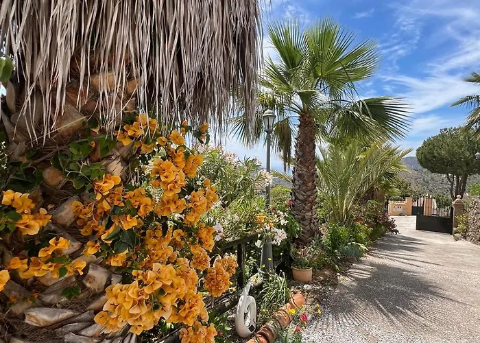 Olivos