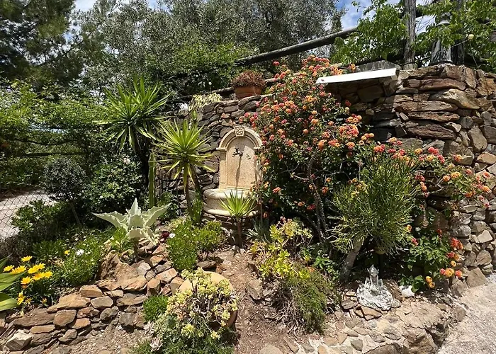 Olivos Villa *